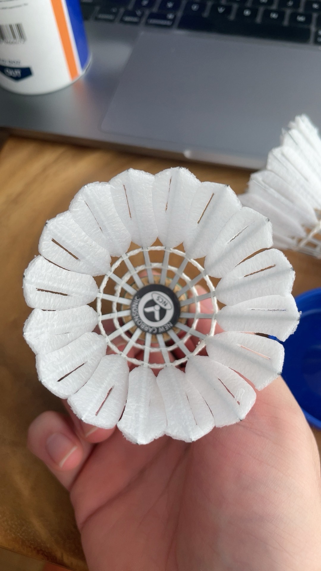 所设计的圣 所设计的圣